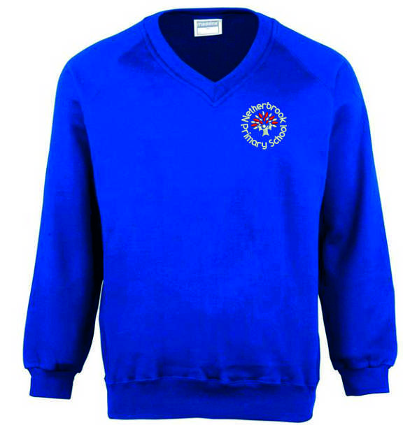Childs Blue V Neck Sweatshirt embroidered with School logo